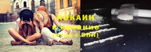 крисы Белокуриха