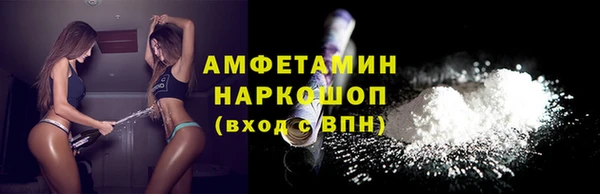 ECSTASY Пересвет