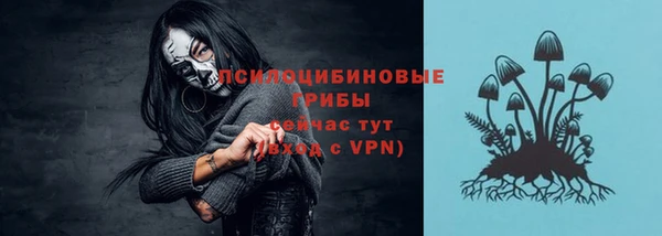 меф Переславль-Залесский