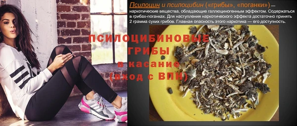 крисы Белокуриха