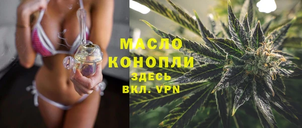 ECSTASY Пересвет